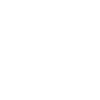 icon1
